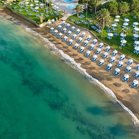 Turquoise 5* シダ