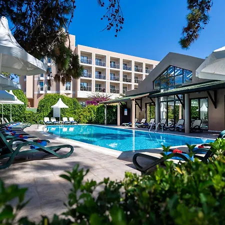 Turquoise シダ